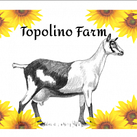 Topolino Farm